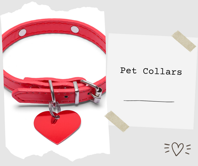 Pet Collars