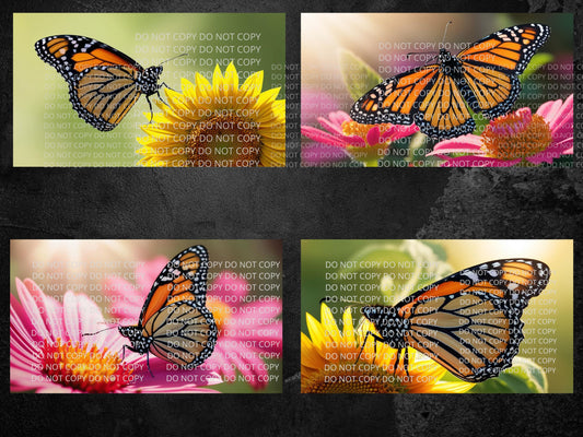 Single Butterfly with Flower Digital Art in PDF SVG PNG File Formats