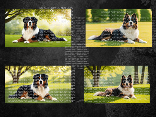 Bernese Mountain Dog Digital Art in PDF SVG PNG File Formats