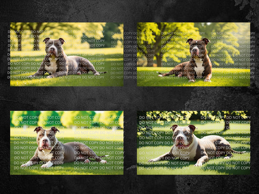 Pitbull Digital Art in PDF SVG PNG File Formats