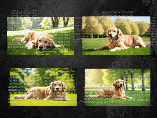 Golden Retriever Digital Art in PDF SVG PNG File Formats