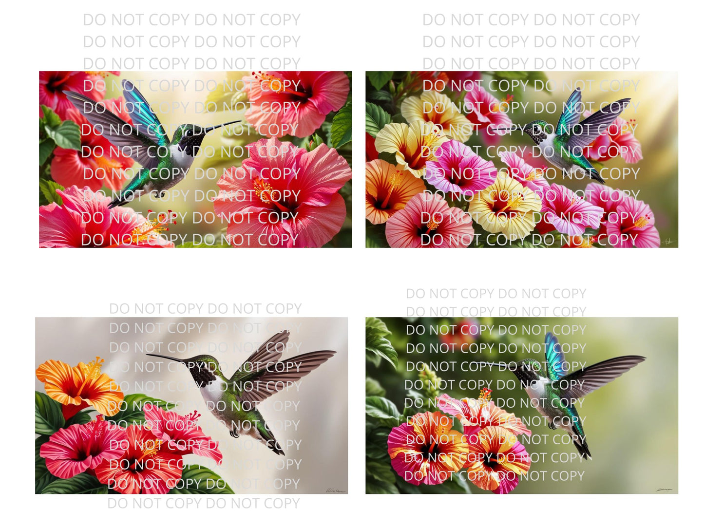Hummingbirds and Flowers Digital Art in PDF SVG PNG File Formats