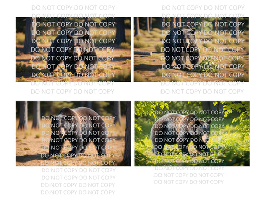 Black Bear in Woods Digital Art in PDF SVG PNG File Formats