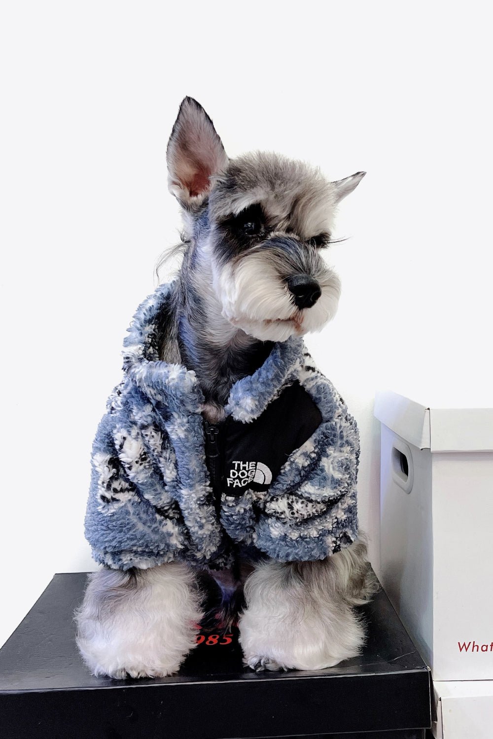 Dusty Blue Dog Outfit Paisley Zip-Up Teddy Pet Jacket SZ S-2XL