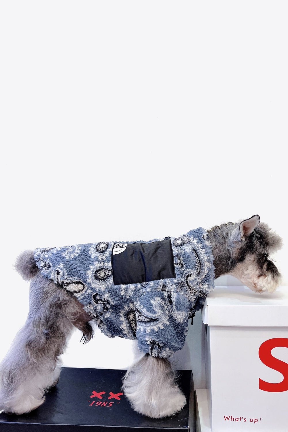 Dusty Blue Dog Outfit Paisley Zip-Up Teddy Pet Jacket SZ S-2XL