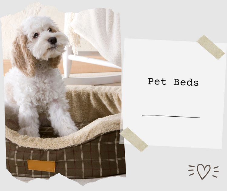 Pet Beds