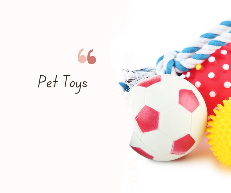 Pet Toys