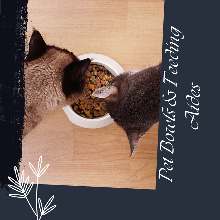 Pet Bowls & Feeding Aides