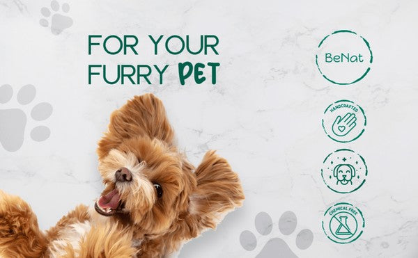 Pet Grooming