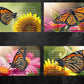 Single Butterfly with Flower Digital Art in PDF SVG PNG File Formats