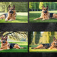 German Shepard Digital Art in PDF SVG PNG File Formats