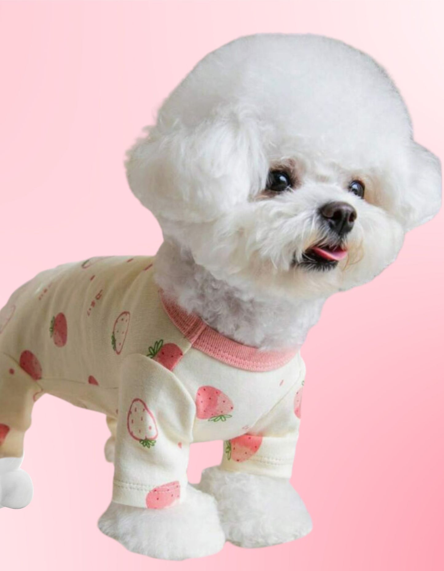 Love Our Pets Strawberry Pattern Pet Clothes for Cats & Dogs