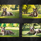 Pitbull Digital Art in PDF SVG PNG File Formats