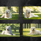 Great Pyrenees Digital Art in PDF SVG PNG File Formats