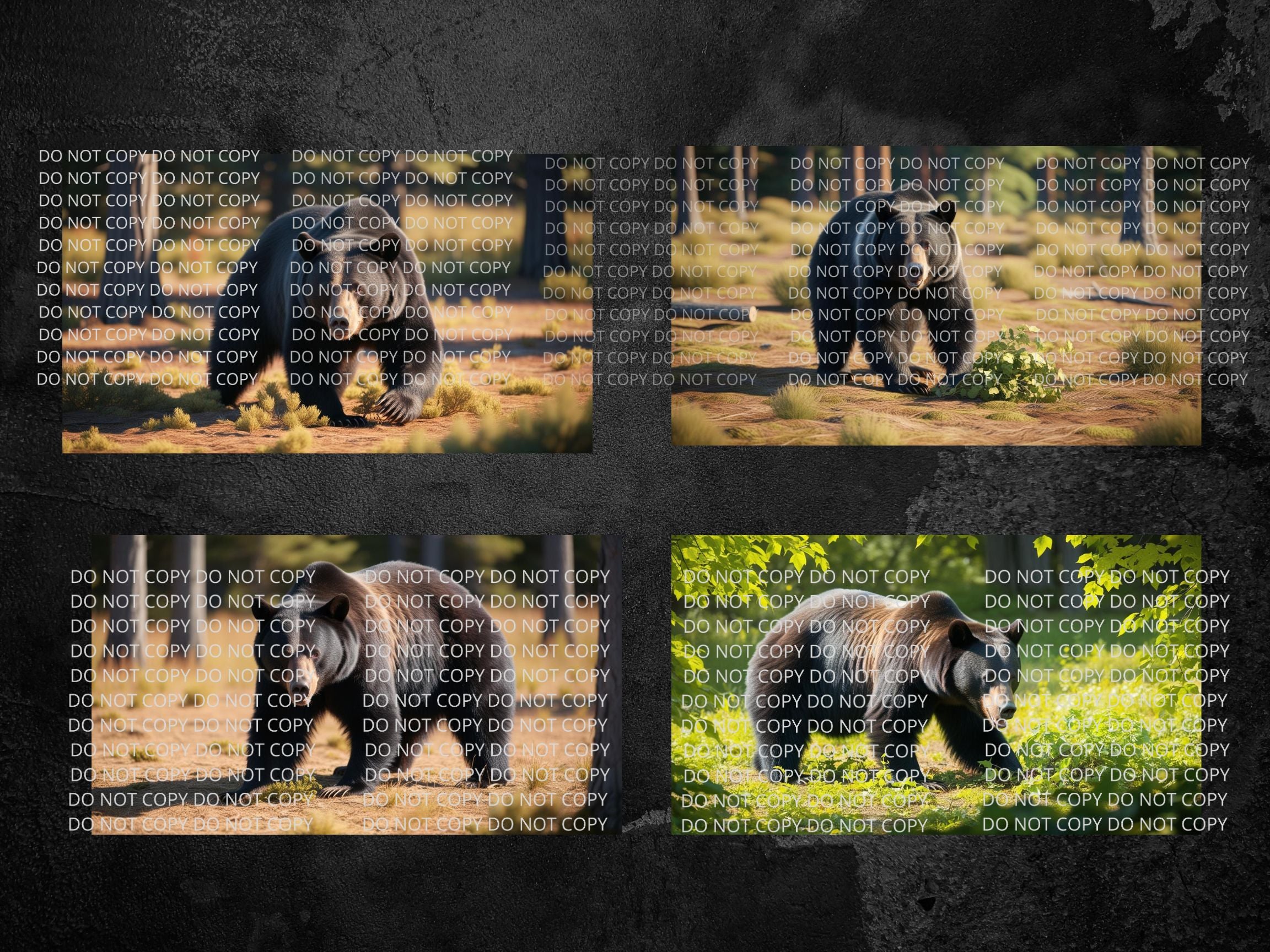 Black Bear in Woods Digital Art in PDF SVG PNG File Formats