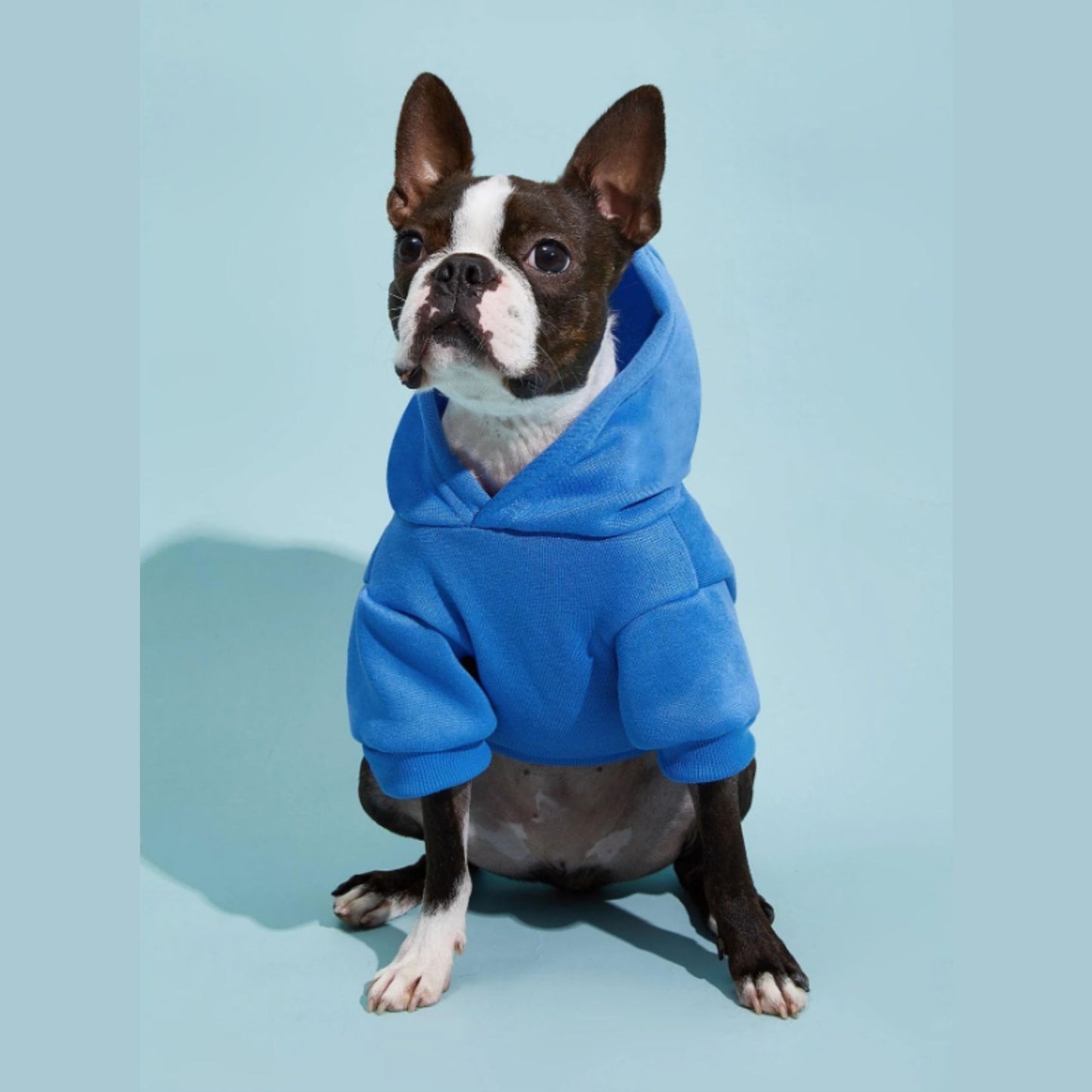 Adorable Pets Fleece Lined Pet Hoodie in Multiple Shades