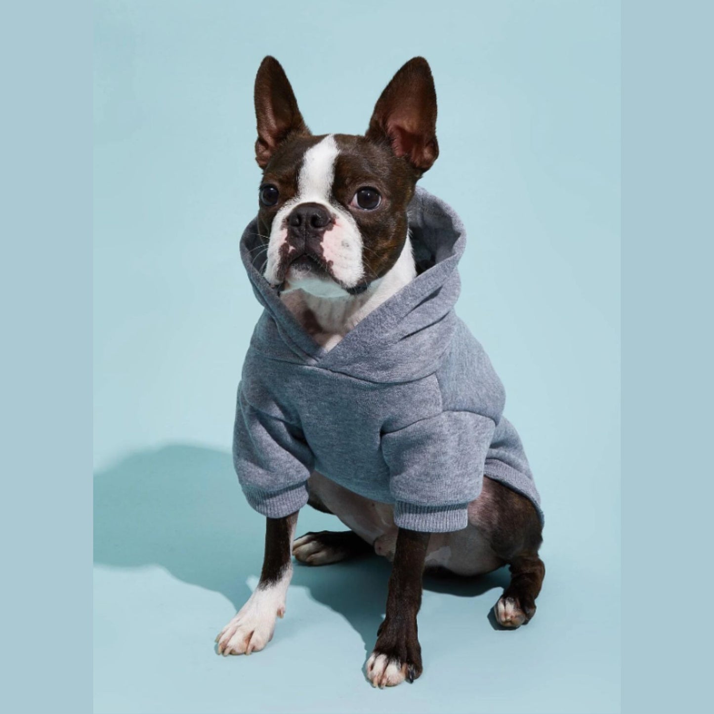 Adorable Pets Fleece Lined Pet Hoodie in Multiple Shades