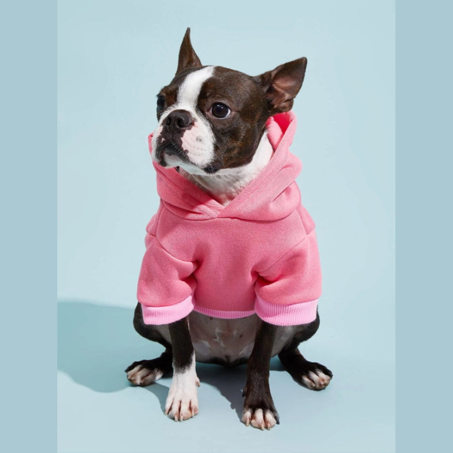 Adorable Pets Fleece Lined Pet Hoodie in Multiple Shades