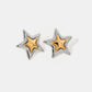 Stainless Steel Star Stud Earrings