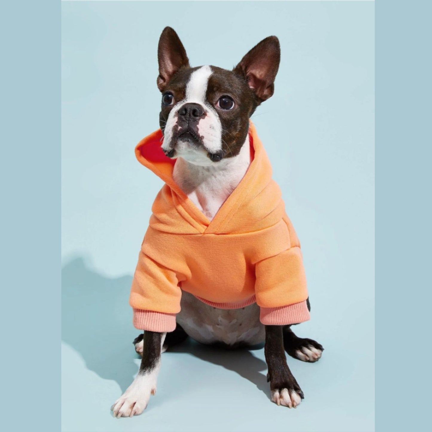 Adorable Pets Fleece Lined Pet Hoodie in Multiple Shades