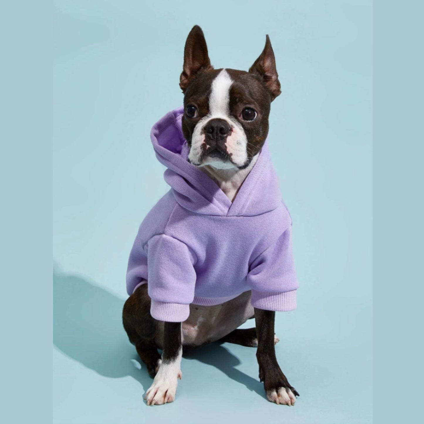 Adorable Pets Fleece Lined Pet Hoodie in Multiple Shades