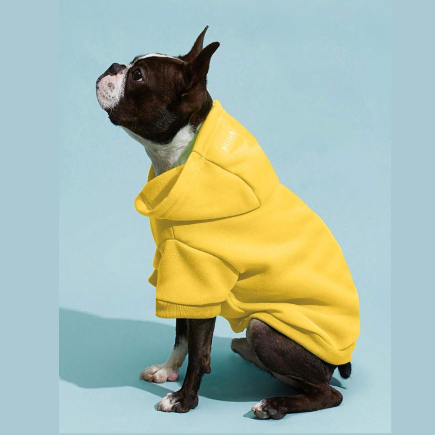 Adorable Pets Fleece Lined Pet Hoodie in Multiple Shades