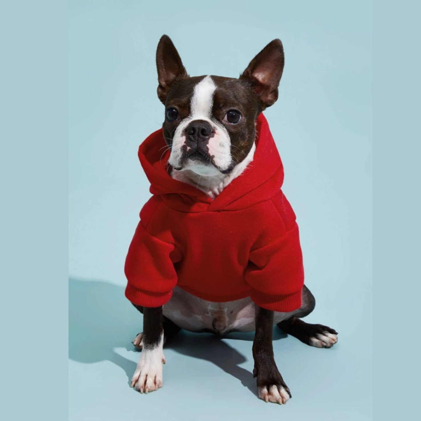 Adorable Pets Fleece Lined Pet Hoodie in Multiple Shades