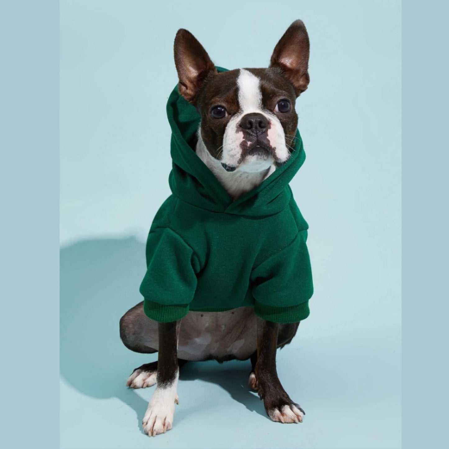 Adorable Pets Fleece Lined Pet Hoodie in Multiple Shades