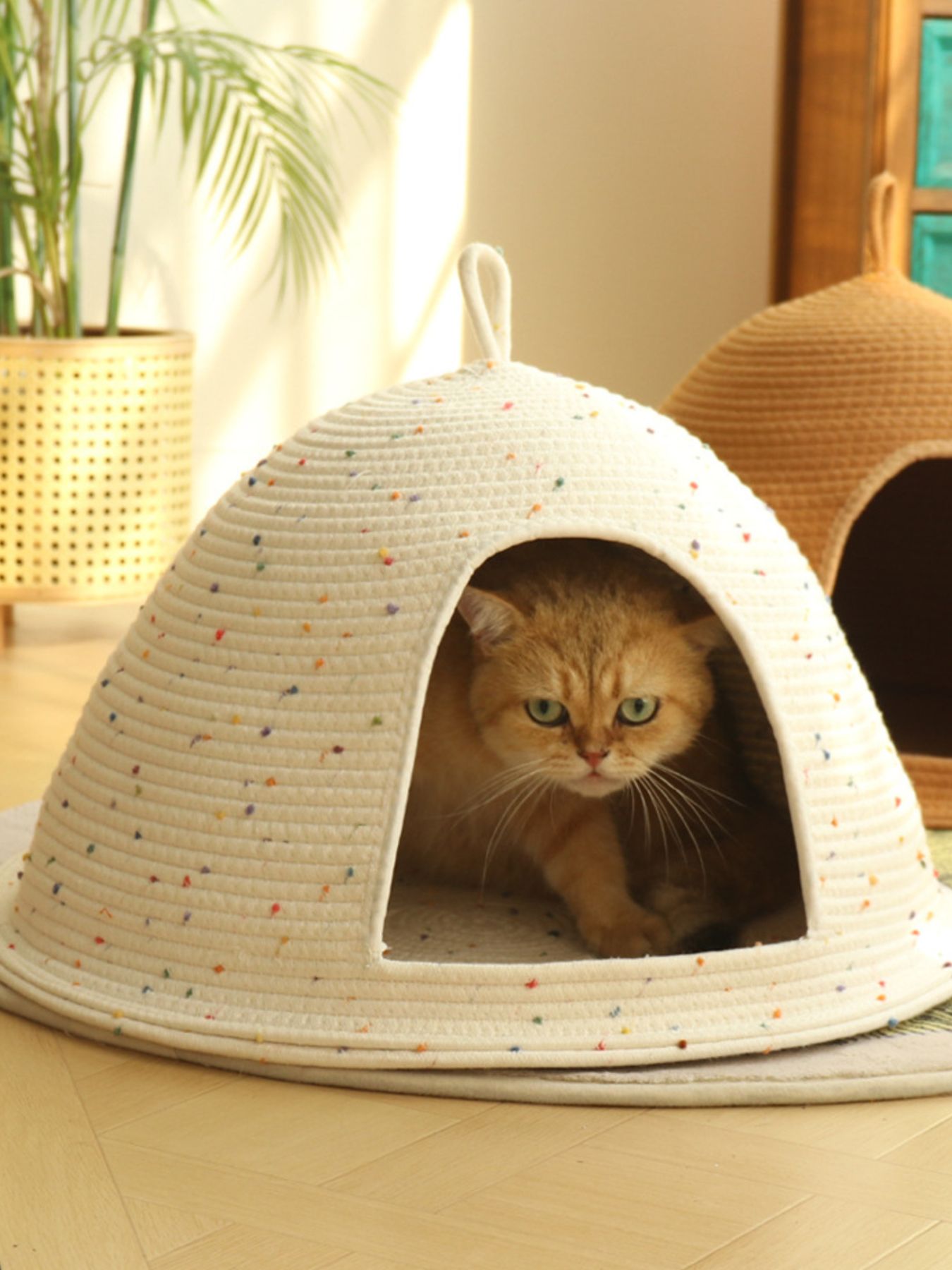 4839c9b3-034d-4d9d-b581-a3e48a47f66d-Max