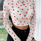 Heart Round Neck Long Sleeve Sheer Top