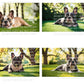 French Bulldog Digital Art in PDF SVG PNG File Formats