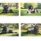 Newfoundland Dog Digital Art in PDF SVG PNG File Formats