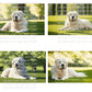 Great Pyrenees Digital Art in PDF SVG PNG File Formats