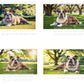 English Bulldog Digital Art in PDF SVG PNG File Formats