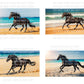 Black Horse on Beach Digital Art in PDF SVG PNG File Formats
