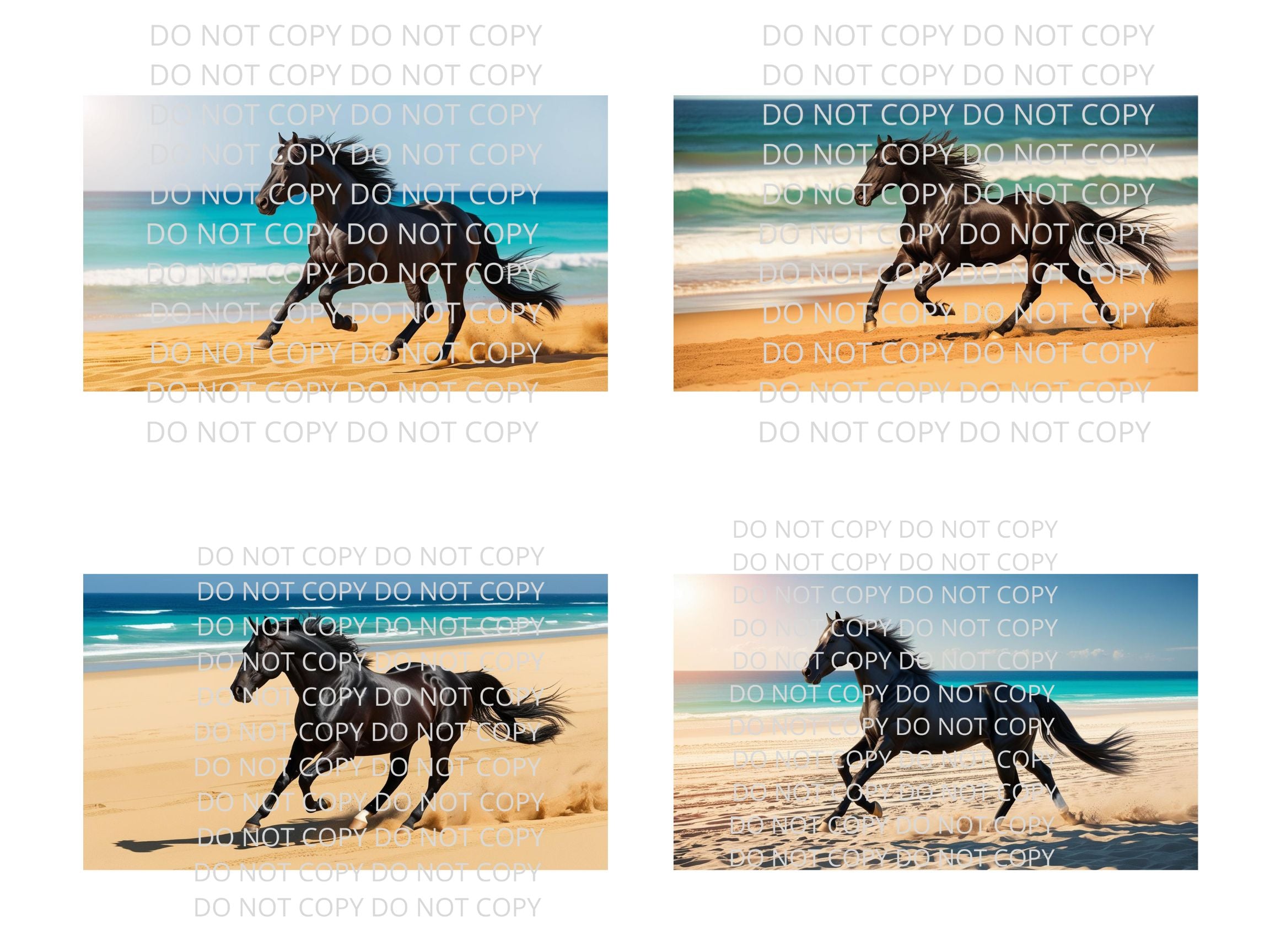 Black Horse on Beach Digital Art in PDF SVG PNG File Formats