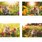 Hamster Digital Art in PDF SVG PNG File Formats