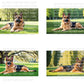 German Shepard Digital Art in PDF SVG PNG File Formats