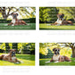 Boxer Dog Digital Art in PDF SVG PNG File Formats