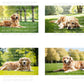 Golden Retriever Digital Art in PDF SVG PNG File Formats