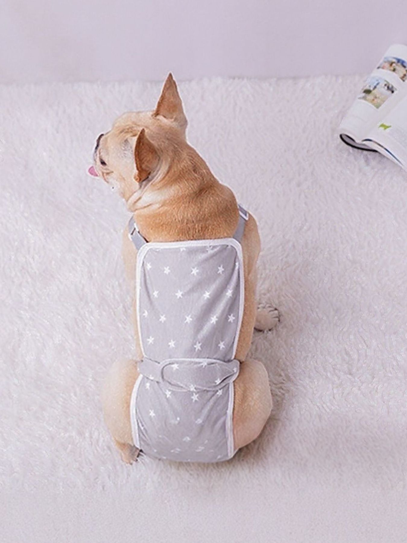 4d5b42ba-05c4-474c-ad0b-7035a489706e-Max