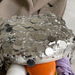 Sequin Chain Shoulder Bag