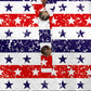Full Size USA Themed Printed Notched Short Sleeve Blouse