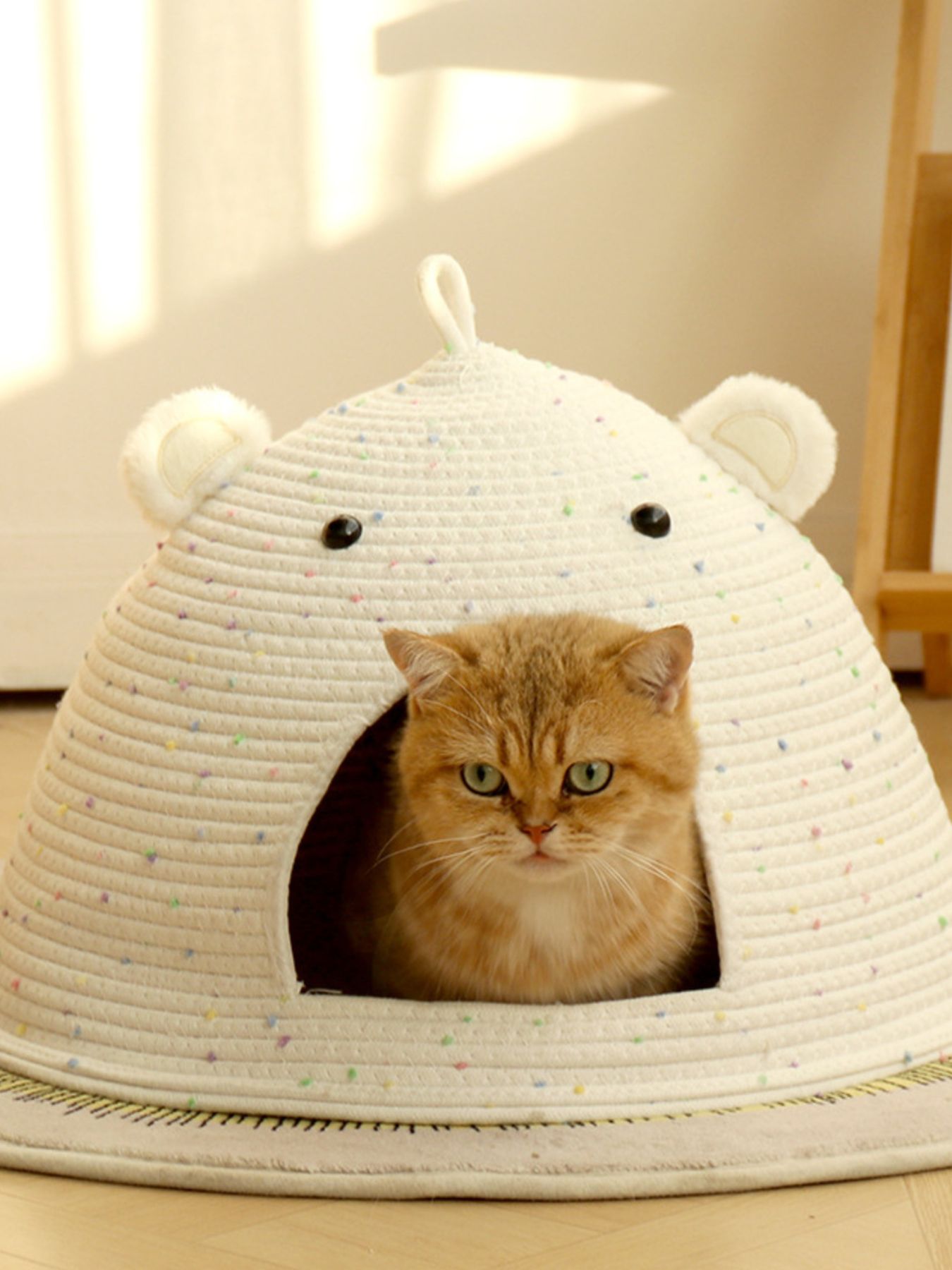 675df8ec-3a3a-45b1-9a18-85cc753236c7-Max