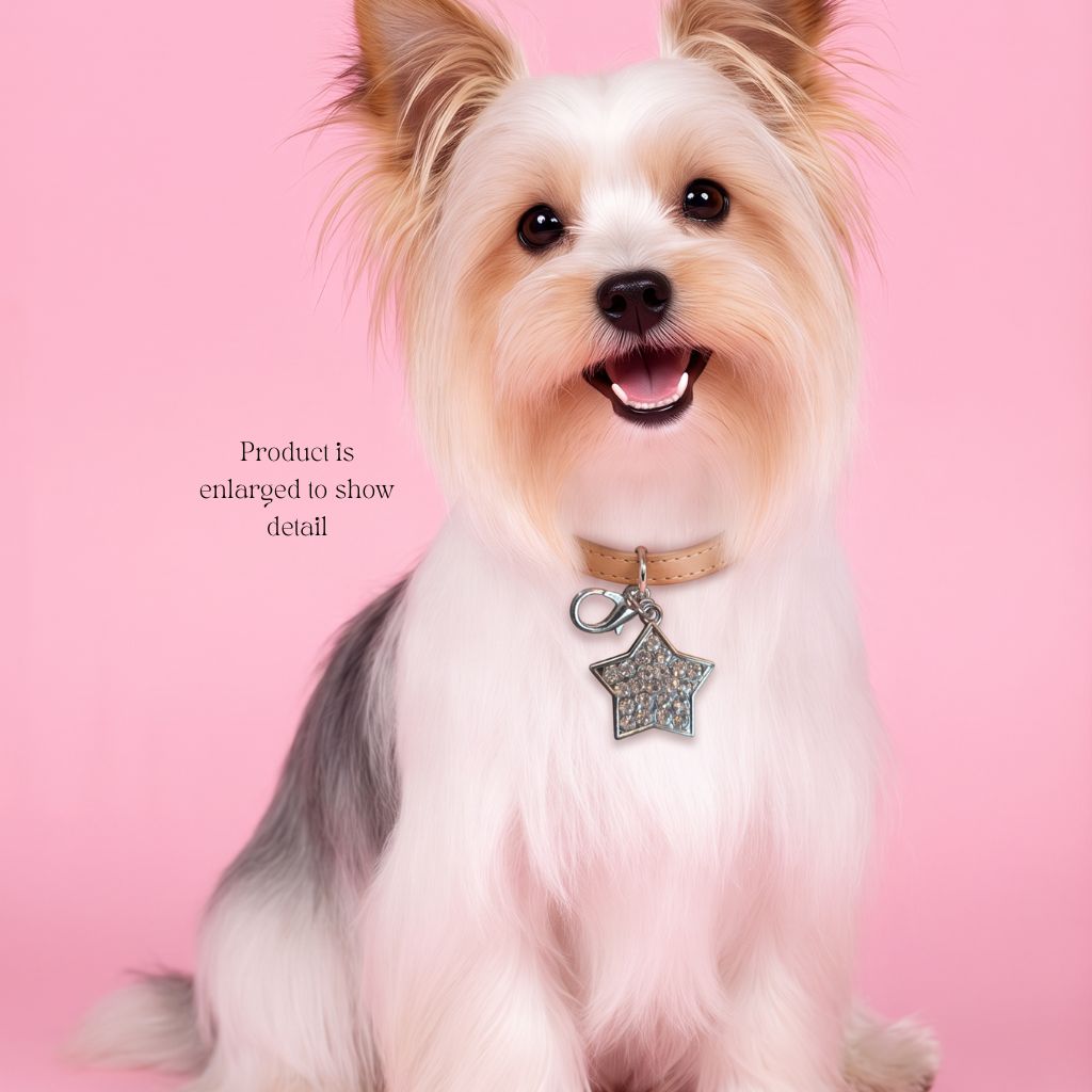 Duke's Pet Product - Silver Rhinestone Pet Bling for Collar