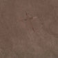 8d6b0e9426324a099ac178f869e64b73-Max-Origin