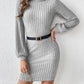 Turtleneck Long Sleeve Mini Dress