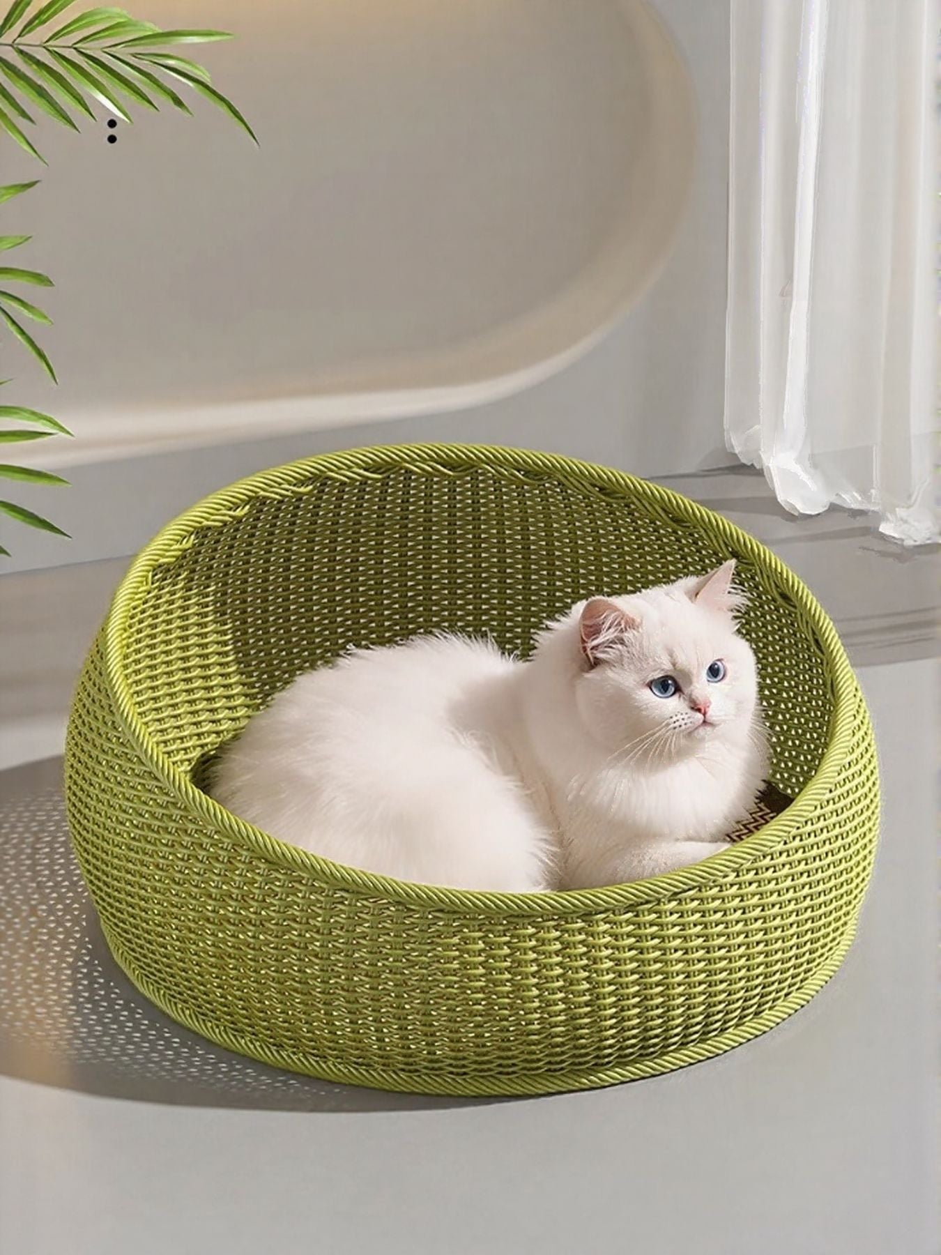 98541293-2245-4663-9f5d-42e4e23da3fb-Max