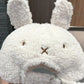 9c2fcf6d-6f3f-40a0-a184-024b44c0ba51-Max-Origin