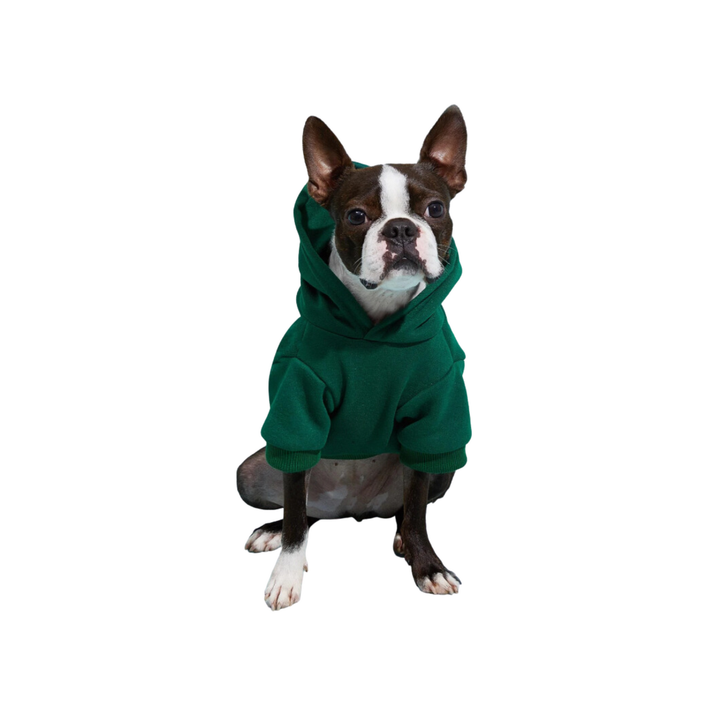 Adorable Pets Fleece Lined Pet Hoodie in Multiple Shades